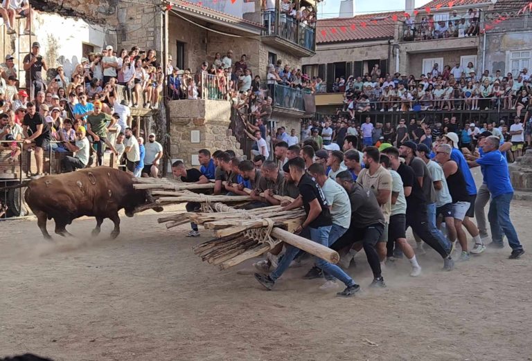 Festa Taurina em Alfaiates