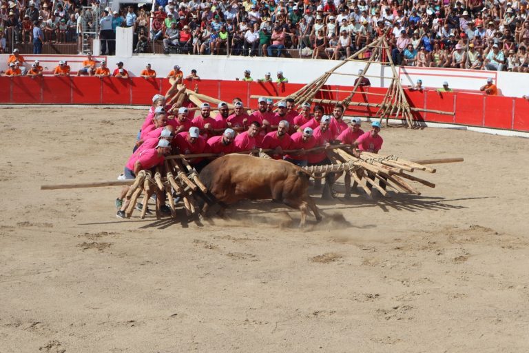 Festa do Forcão em Aldeia da Ponte