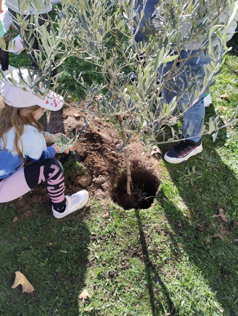 Escola de Aldeia Velha vence o Projeto da Green Cork