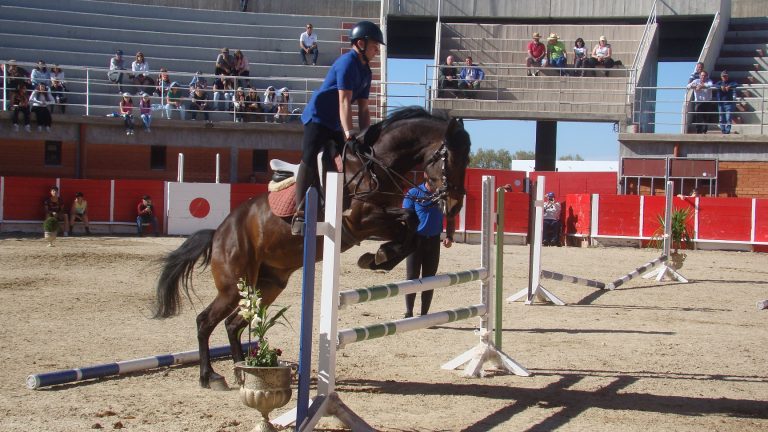 Associação Hípica Amigos do Cavalo assinala 30 anos.