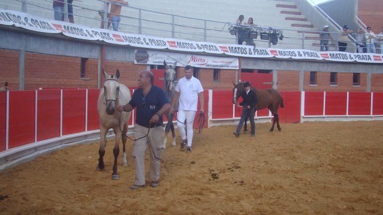 Milhares de pessoas visitaram Feira do Touro e do Cavalo