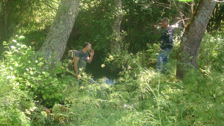 Investigadores estudam espécies de peixes existentes na barragem de Alfaiates