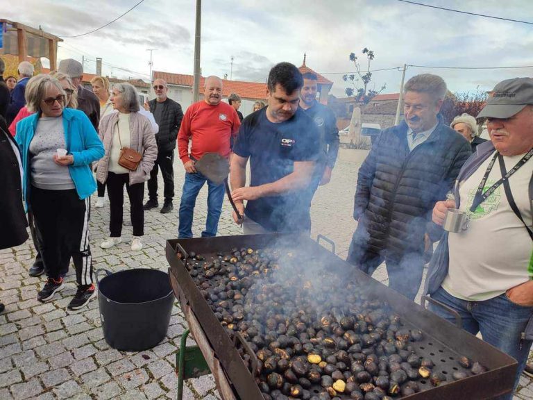 União de Freguesias de Pousafoles do Bispo, Penalobo e Lomba, organizou a já tradicional Caminhada, Almoço e Magusto de São Martinho
