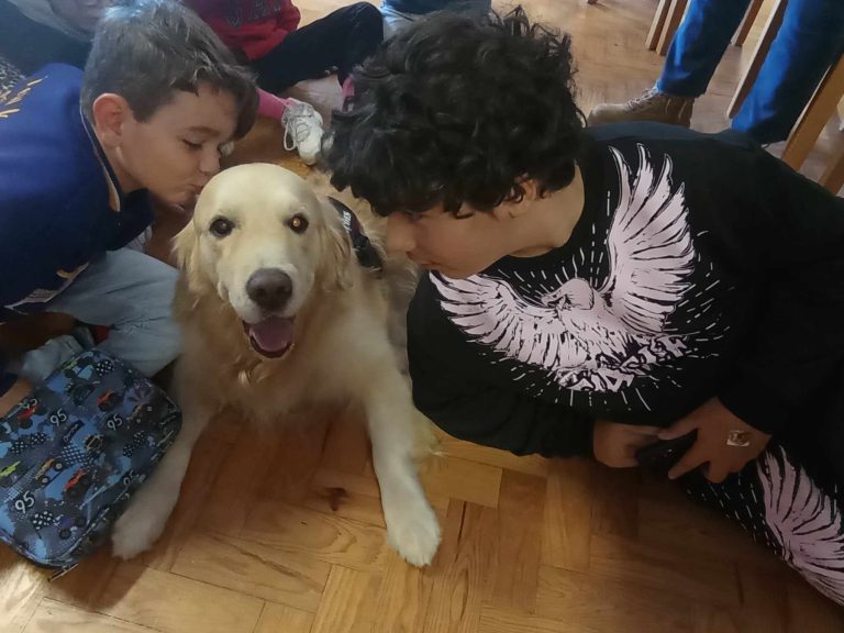 Dia da deficiência