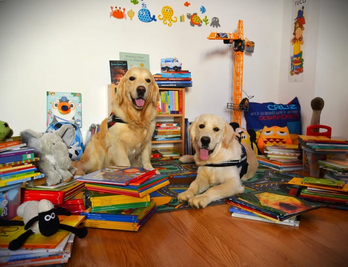 Intervenções Assistida por Animais na área da Educação