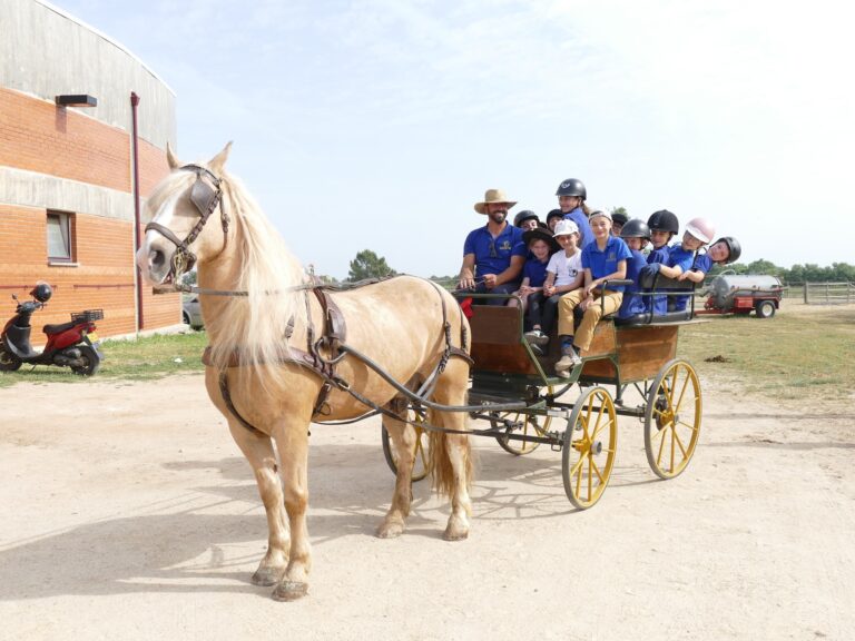 Associação Hípica “Amigos do Cavalo” e Associação Cultural e Desportiva do Soito assinalaram Dia Mundial da Criança