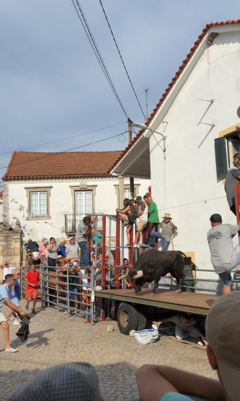 XX – Capeia de São Pedro Aldeia da Ponte, sábado 28 de Junho – 2025