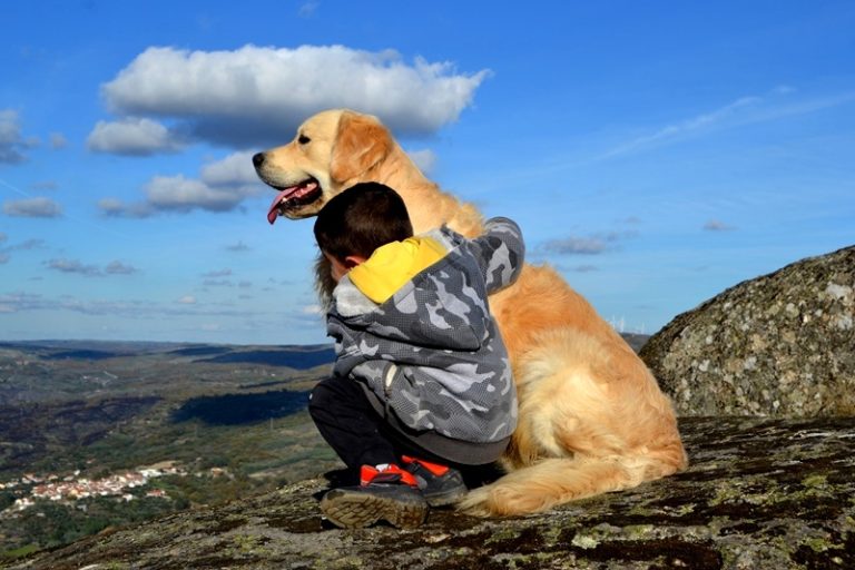 As crianças e os animais de estimação