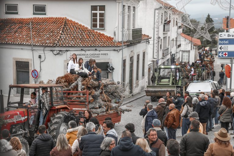 Madeiro já está no adro da Igreja Matriz