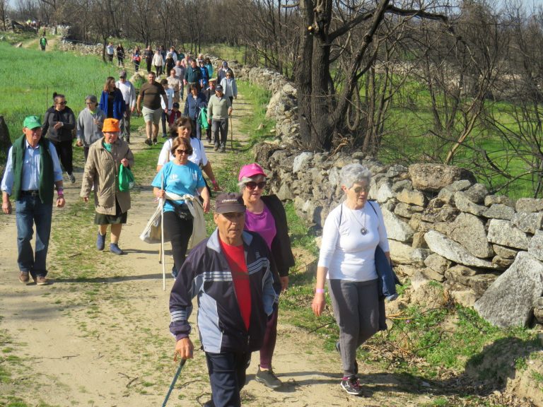 UF de Ruvina, Ruivós e Vale das Éguas promoveu caminhada e plantação de árvores