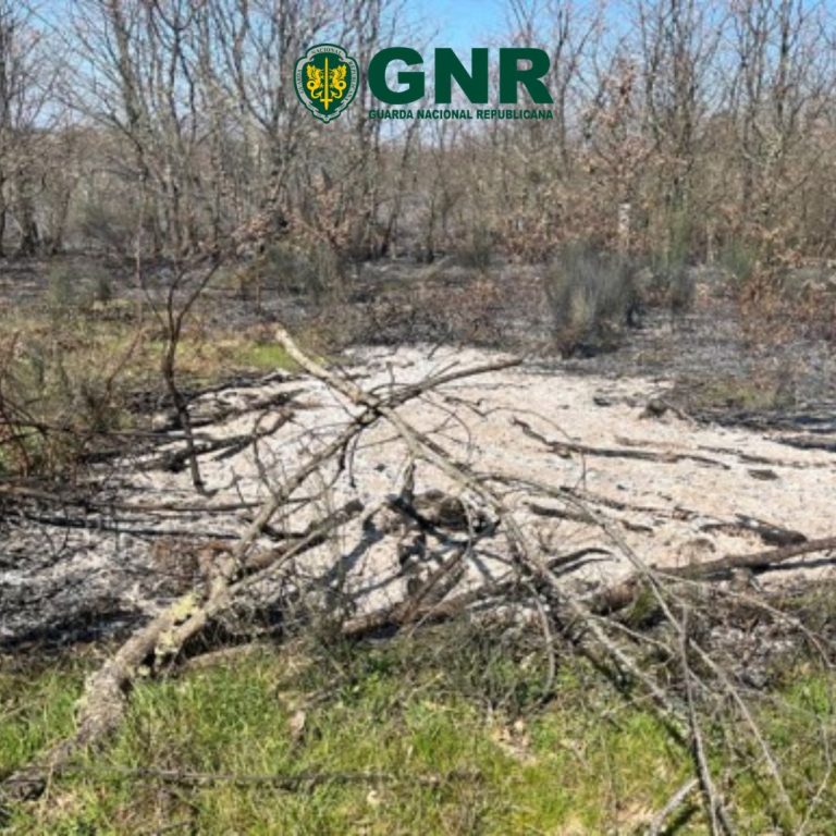 Homem constituído arguido por incêndio florestal no Soito