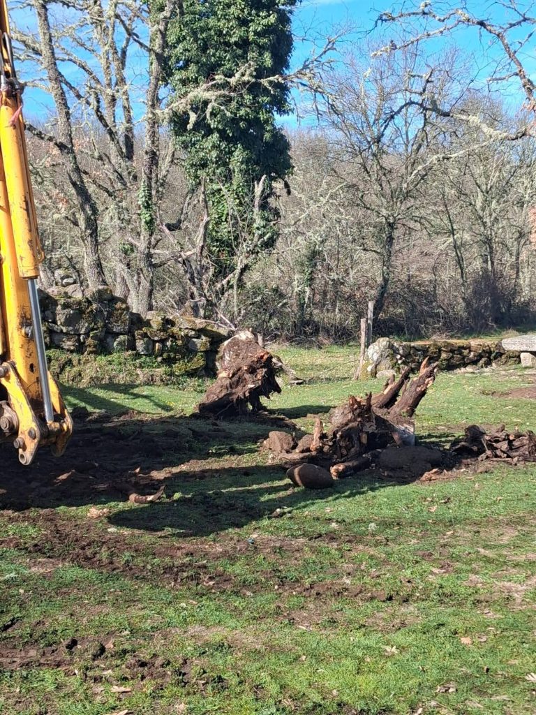 Intervenção de manutenção no Parque de Santo Antão em Vila Boa
