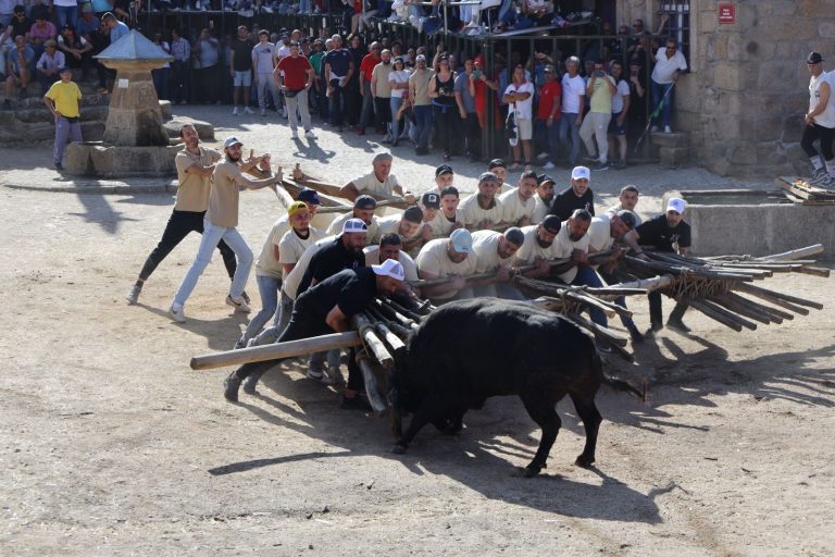 Páscoa em Alfaiates é sinónimo de Capeia Arraiana