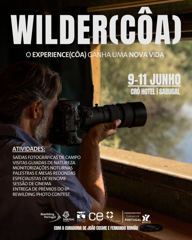 Sabugal acolhe Festival Wilder Côa