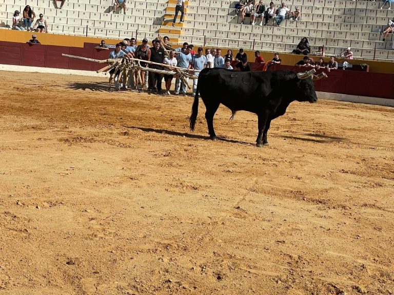 44ª Capeia Arraiana – Um dia de afirmação sabugalense e raiana!