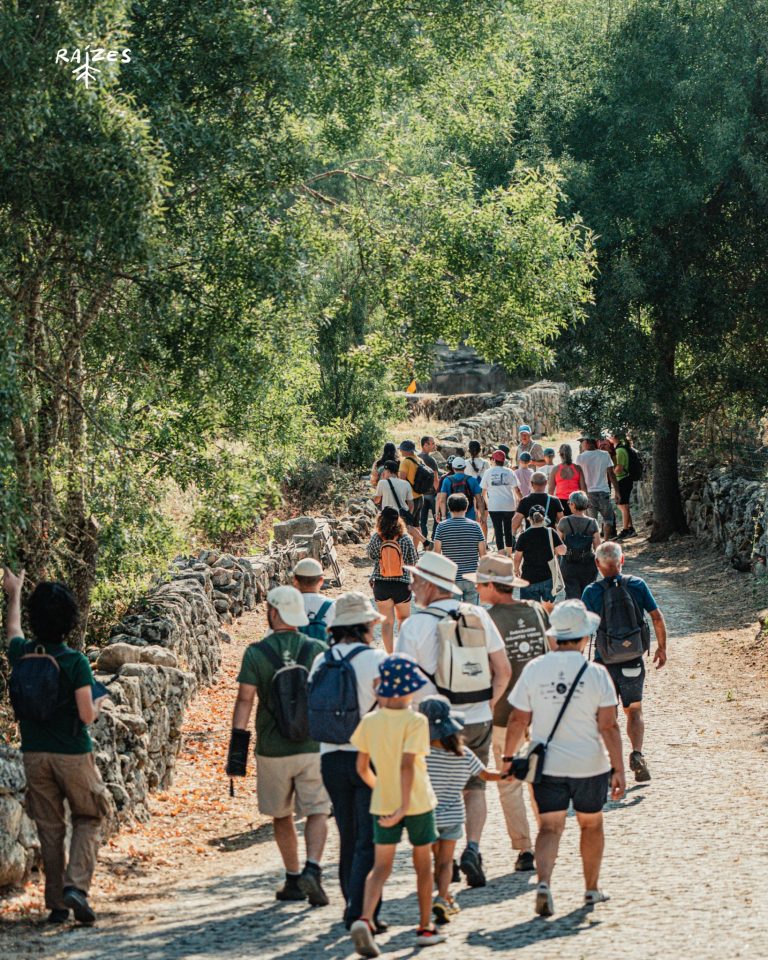 Município do Sabugal e VERDE unem-se no novo “Projeto Raízes” para valorizar a biodiversidade local
