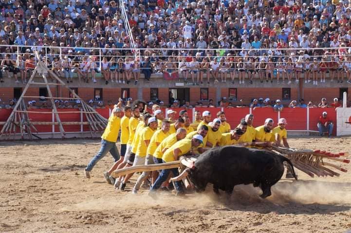 Capeias e outros eventos tauromáquicos já têm data marcada
