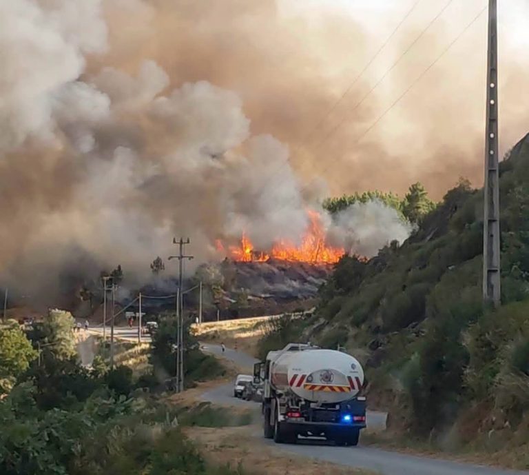 Incêndio da Bendada destruiu árvores de fruto, hortas e mato