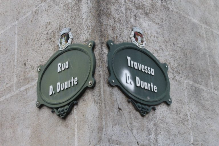 D. Duarte de Castelo Branco 1.º Conde de Sabugal e Senhor de Alfaiates