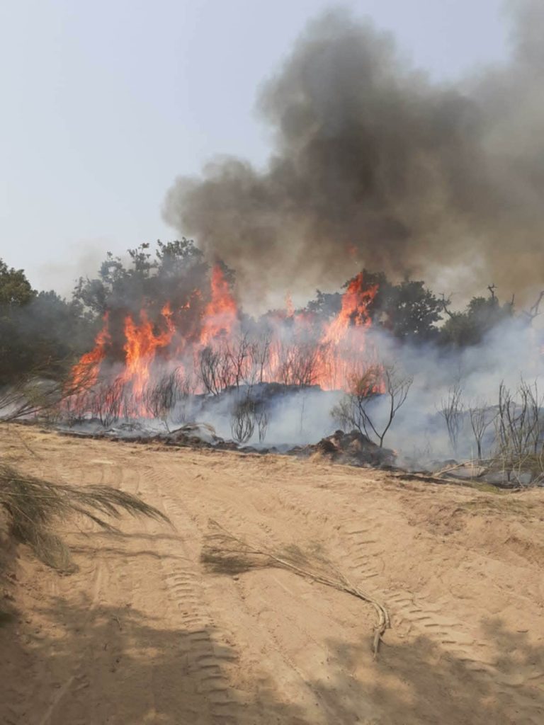 Incêndio na freguesia da Nave