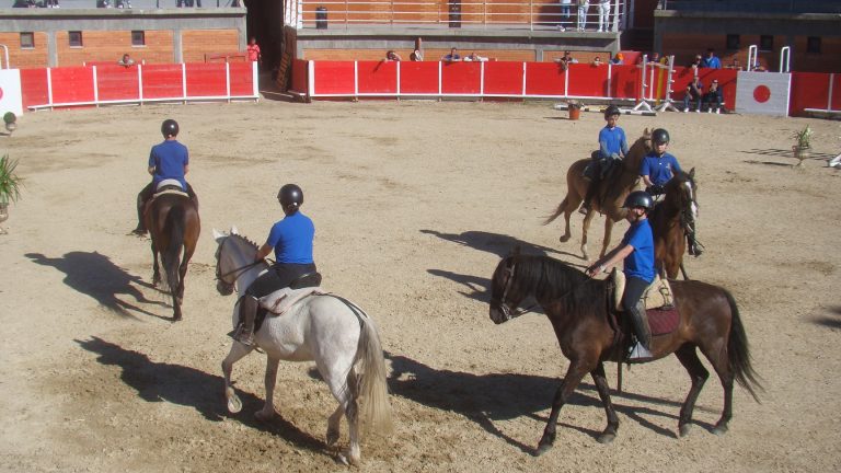 Centro Hípico da Raia, no Soito, integra rede de Centros Federados