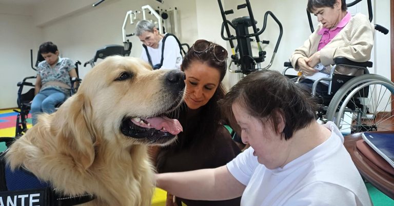 Cães terapeutas do concelho do Sabugal promovem recuperação e bem-estar em Instituições da Guarda