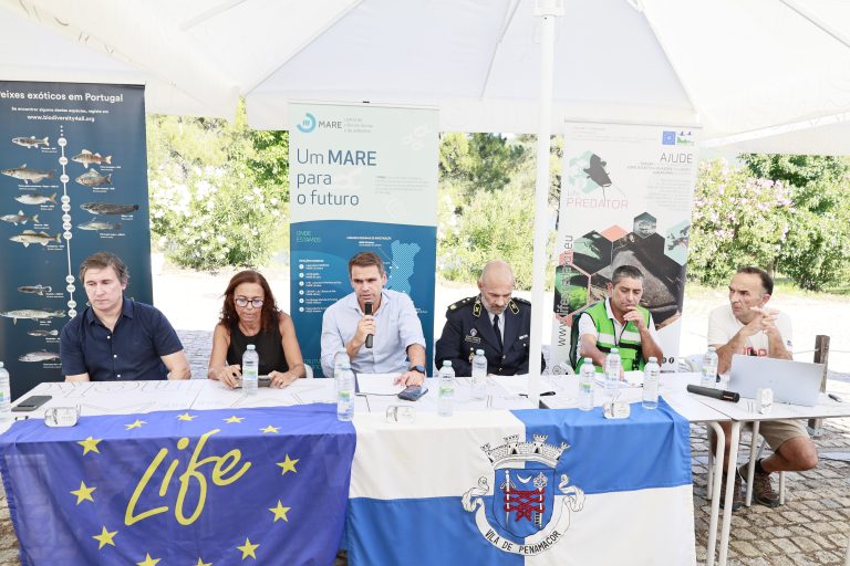 “Peixes Invasores na Albufeira do Meimão” em debate na gestão das espécies invasoras