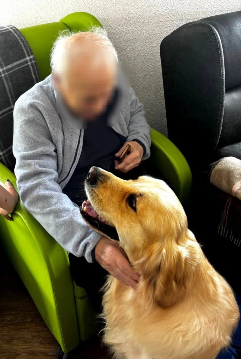 O poder dos animais na saúde das pessoas: o idoso, a criança e a pessoa com deficiência