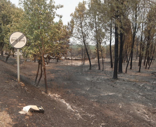 Sabugal: Um ano após os incêndios de agosto de 2025